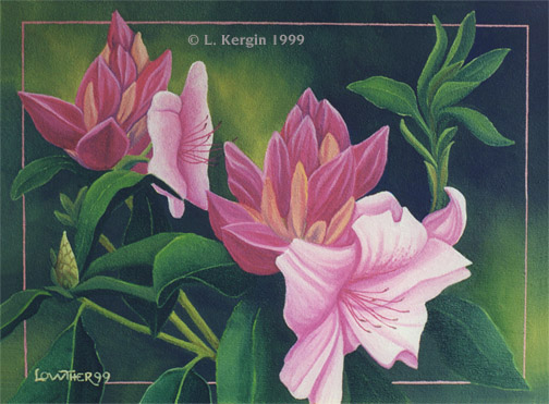 "First Opening" &copy; - Original art by Lee (Lowther) Kergin