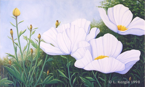 "Matilija" &copy; - Original art by Lee (Lowther) Kergin