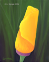"California Poppy" &copy; - Original art by Lee (Lowther) Kergin