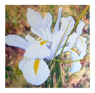 "Iris No. 1" &copy; - Original art by Lee (Lowther) Kergin