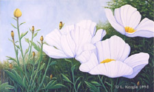 "Matilija" &copy; - Original art by Lee (Lowther) Kergin