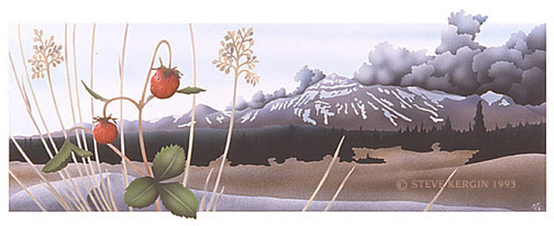 "Thunderhead" &copy; - Original art by Steve Kergin