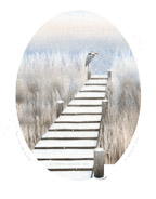 "The Sun Was Shy #2" &copy; - Original art by Steve Kergin