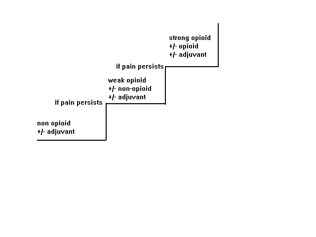 Narcotic Conversion Chart